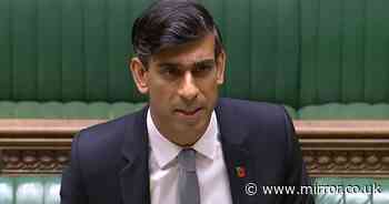 Rishi Sunak's pay freeze could cost Tories next election, union warns