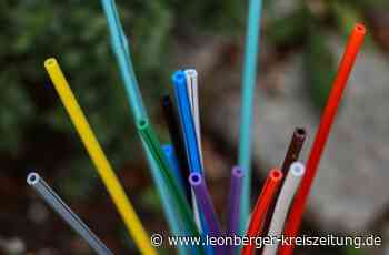 Schnelles Internet in Leonberg: Kostenloser Glasfaseranschluss bis in den Keller - Leonberg - Leonberger Kreiszeitung