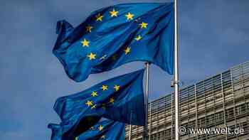 Hunderte EU-Beamte fliegen trotz Lockdown jede Woche ins Homeoffice