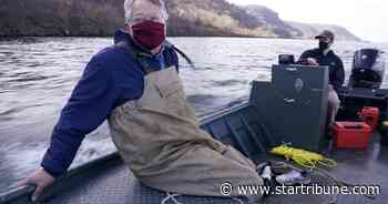 In fight against invasive species, biologist pitches Minnesota 'state lake' program