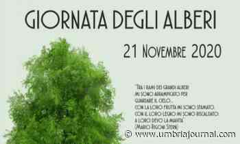 Per la festa degli alberi 189 nuove piantumazioni a Terni - Umbria Journal il sito degli umbri