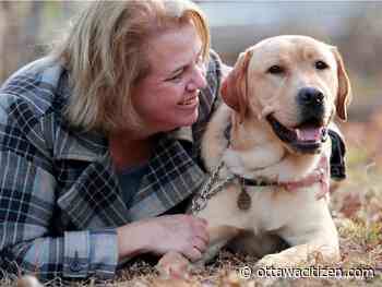 Who's a good boy? American aid for Canada's critical guide dog shortage