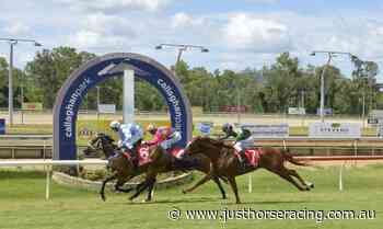 22/11/2020 Horse Racing Tips and Best Bets – Rockhampton - Just Horse Racing