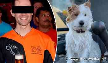 Jogger die hondje Dribbel doodstak, vrijgelaten onder voorwaarden