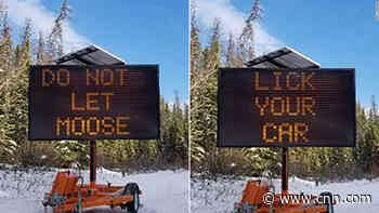 Canadian officials warn drivers not to let moose lick their cars