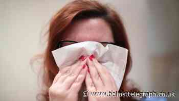 UK will be doing well to have winter death toll like bad flu season, says expert