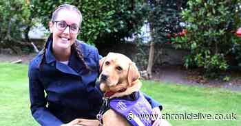 The adorable assistant dog who's impacted disabled woman’s life during lockdown
