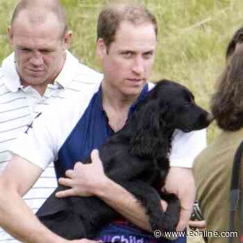 Kate Middleton and Prince William's Dog Lupo Dead at Age 9