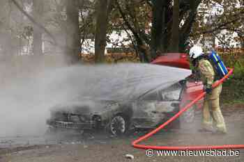 Geparkeerde auto volledig verwoest door brand