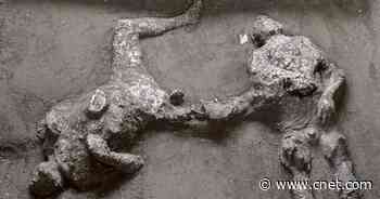 Archaeologists find remains of man and his slave killed in Pompeii eruption     - CNET