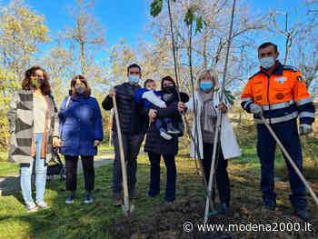 A Formigine un albero per ogni nato - Modena 2000