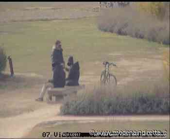 Controlli della polizia locale di Modena, disposti due “minidaspo” - modenaindiretta.it