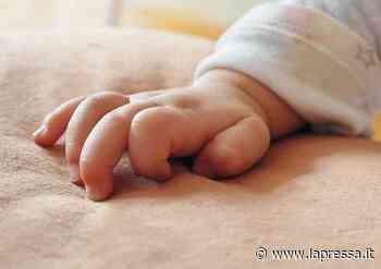 Modena, in piazza Roma fontanelle viola per i bimbi prematuri - La Pressa