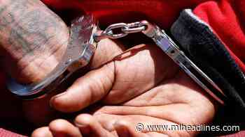 Man from Holland area Arrested in Sault Ste. Marie on 3rd Offense of Driving Drunk - MI Headlines