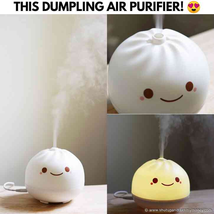 Dumpling Air Purifier