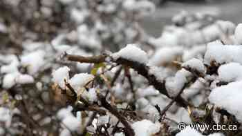 Toronto under snowfall warning with 10-20 cm expected, ice pellets and freezing rain