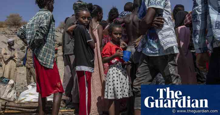 Analysis: why ‘final’ offensive may not end Ethiopian conflict