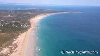 Shark attack in Australia kills 55-year-old man, marks 8th fatality this year