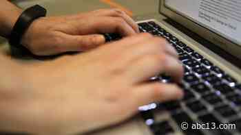 Houston man charged in million dollar global cyber scam - KTRK-TV