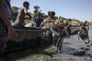 Ethiopians warned of 'no mercy' in Tigray offensive - St Helens Star