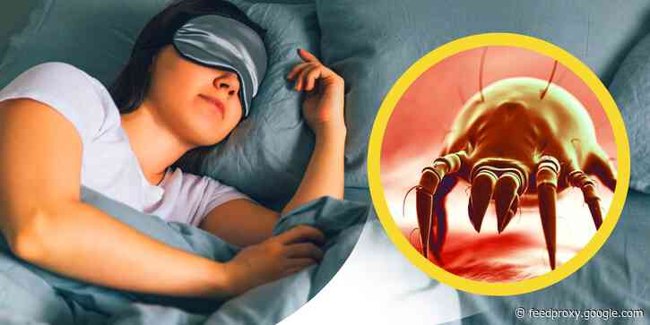 Your pillowcase has more bacteria than your toilet seat if you don't wash your sheets often