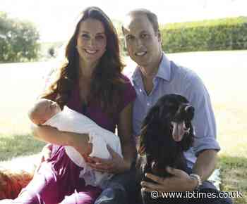 Prince William and Kate Middleton lose family pet Lupo, who helped name Prince George