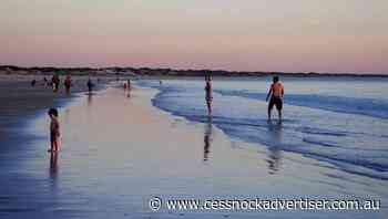 Beaches reopen after fatal WA shark attack - Cessnock Advertiser