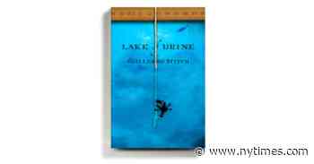 A Wild, Caustic Satire Packed With the Absurd