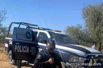 Participa SSP en operativo de búsqueda de personas en Loreto - NTR Zacatecas .com