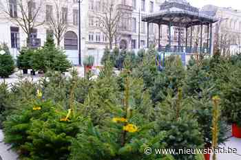 Eén traditie die wel door mag gaan: kerstbomen te koop op de Kouter in Gent