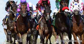 Toronto lockdown forces Woodbine Entertainment to end thoroughbred season early - Global News