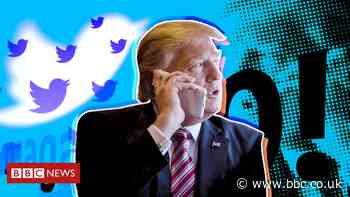 Trump Twitter ‘hack’: Dutch police question researcher