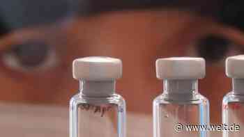 Billiger und ohne Tiefkühlung – das ist der wahre Impfstoff für die Massen