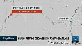 Human remains discovered in Portage la Prairie - Video - CityNews Winnipeg