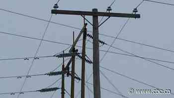 City councillors vote in favour of Saskatoon Light and Power rebate