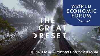 Das sind die wichtigsten Videos und Analysen zum „Great Reset“