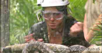 Vicky Pattison slams 'easy' I'm A Celeb after being tipped to return