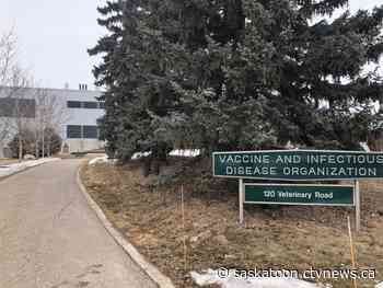 Sask. lab working on coronavirus vaccine aims to become Canada's 'centre for pandemic research' - CTV News Saskatoon