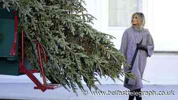 White House presses on with Christmas tree ceremony despite coronavirus warnings