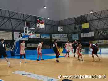 Pallacanestro Senigallia: test-match negativo a Santarcangelo di Romagna - Senigallia Notizie