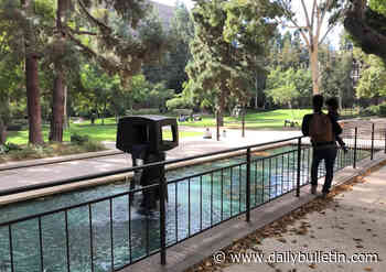 Venturing to UCLA campus to see art, architecture (but not botanic garden) - Inland Valley Daily Bulletin