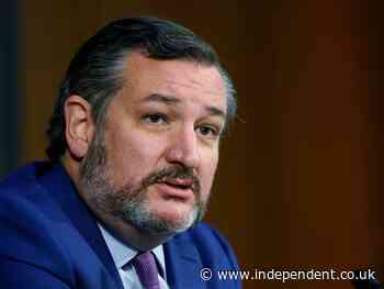 Ted Cruz tells Texans to carry on with Thanksgiving despite overflowing Covid morgues in his state