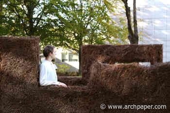 After Architecture explores the structural possibilities of invasive species with Homegrown - The Architect's Newspaper