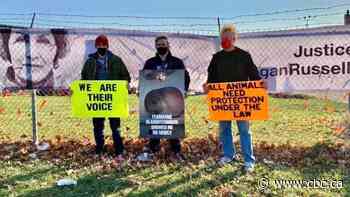 Joaquin Phoenix joined animal rights activists outside Burlington slaughterhouse