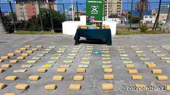 Carabineros incautó más de 144 kilos de marihuana en plena carretera en Antofagasta