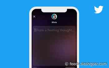 Twitter Fleets bug let some scrape videos even after expiration