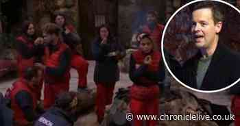 Gobsmacked Dec condemns I'm A Celebrity's 'worst decision ever'