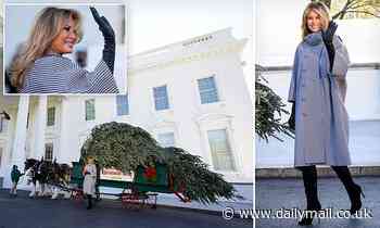Melania Trump welcomes White House Christmas tree for the last time