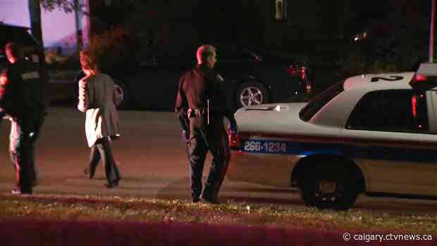 'I kept screaming': Calgary mom describes random attack that left her and son with 26 stab wounds