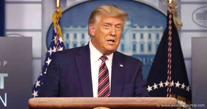 Finally: New York Times Admits ‘Trump Was Right’ in Shocking Op-Ed